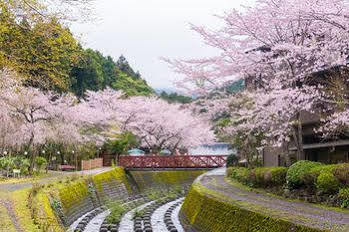 Nagaizumi Sansou Hotel Gotemba Luaran gambar